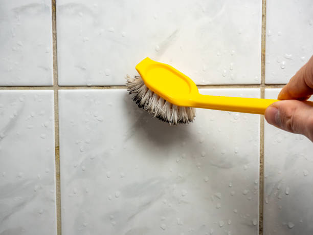 Best Mold Remediation  in Montello, WI