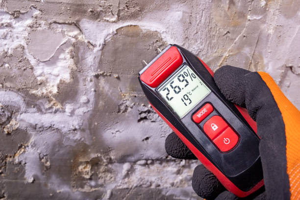 Best Mold Damage Repair  in Montello, WI