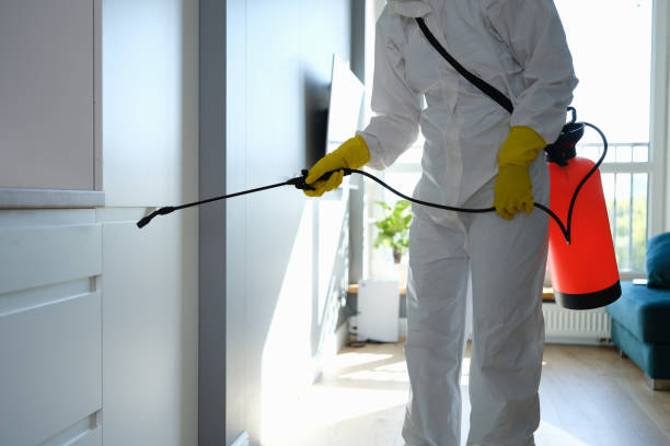 Best Mold Testing  in Montello, WI